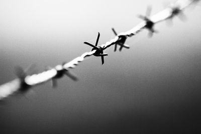 Low angle view of barbed wire against clear sky