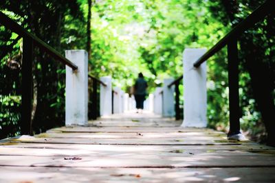 Surface level of footpath in park