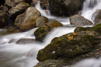 Scenic view of waterfall