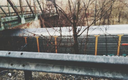 Bare trees by railroad tracks