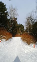 Road amidst trees against sky during winter