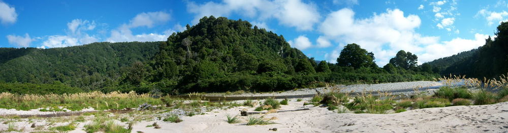 Panoramic view of trees on landscape against sky