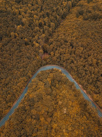 High angle view of agricultural field