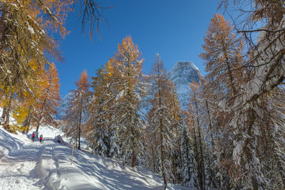 Unrecognizable pair of walkers who passes in a fantastic winter environment, dolomites, italy