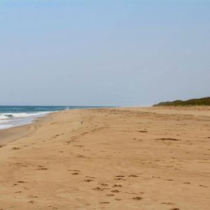 Scenic view of beach against clear sky