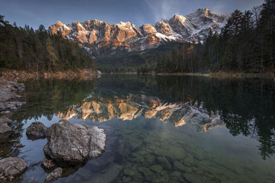 Scenic view of lake in forest