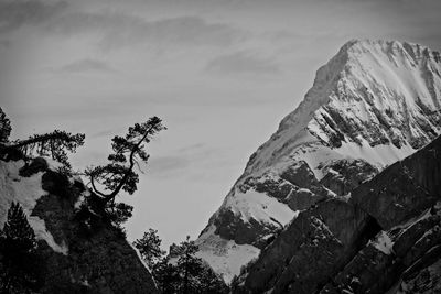 Low angle view of trees and mountains against sky