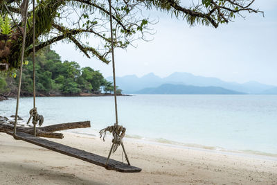 Old swing hanging on a tree on sandy beach, blue sea and sky background.