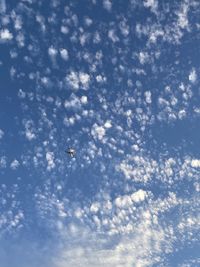 Low angle view of bird flying in sky