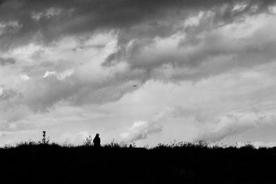 Silhouette trees on field against sky