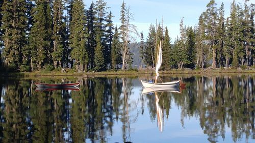 Reflection of trees in pond