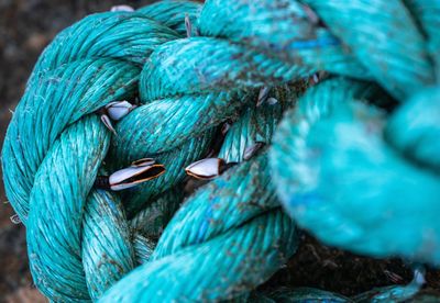 Full frame shot of blue rope