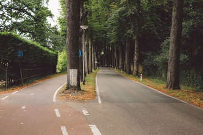 Empty roads amidst trees