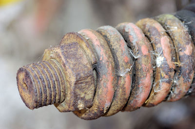 Close-up of rusty nut on old train