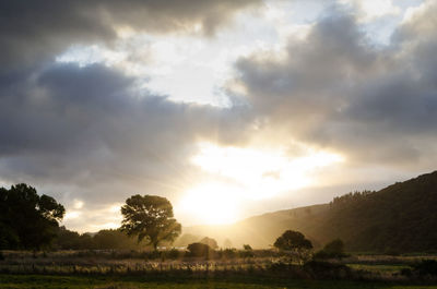 Scenic view of field against sky during sunset