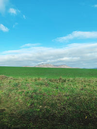 Scenic view of field against sky