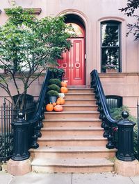 Potted plants on staircase of building