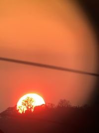 Silhouette trees against orange sky during sunset