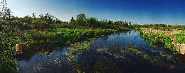 Panoramic view of pond