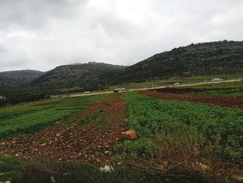 Scenic view of agricultural field against sky