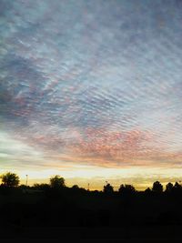 Silhouette of trees at sunset