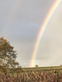 Scenic view of rainbow over trees on field against sky