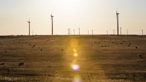 Scenic view of field against sky during sunset