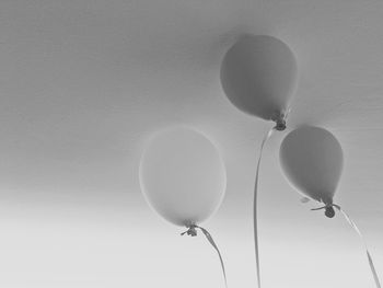 Close-up of balloons against white background