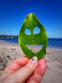 Close-up of hand holding leaf on beach