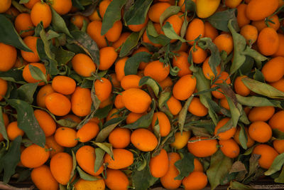 Full frame shot of kumquats for sale at market