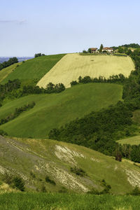 Scenic view of agricultural field against sky