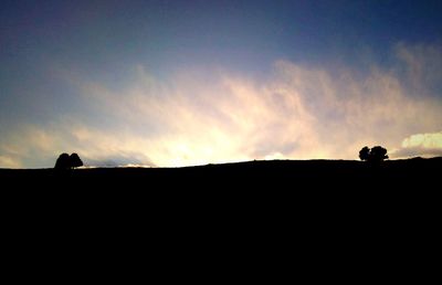 Silhouette of birds perching on landscape against sky