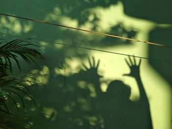 Shadow of person with arms raised on green wall