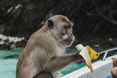 Close up of a young man eating in zoo