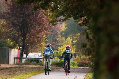 Rear view of children riding bicycles on road