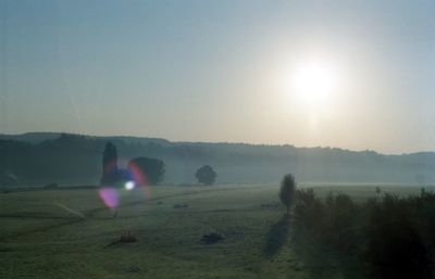 Sun shining over field