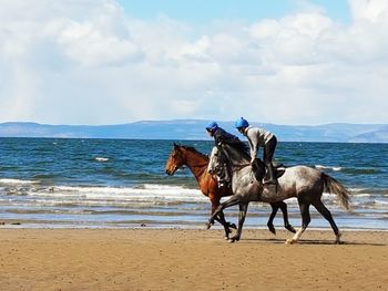 Horse riding on beach against sky