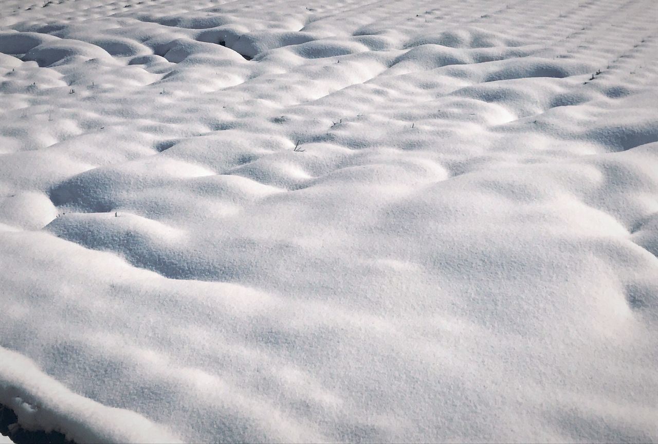 snow, winter, cold temperature, nature, pattern, close-up, covering, no people, beauty in nature, backgrounds, day, track - imprint, outdoors, sand dune