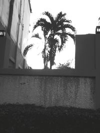 Low angle view of building