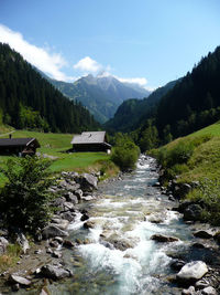 Scenic view of river in forest against sky