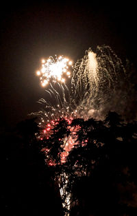 Low angle view of firework display at night