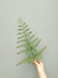 Woman holding plant