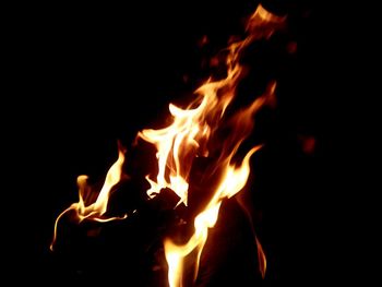 Close-up of bonfire at night