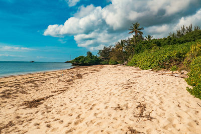 Scenic view of beach against sky