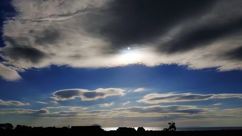 Low angle view of silhouette trees against blue sky