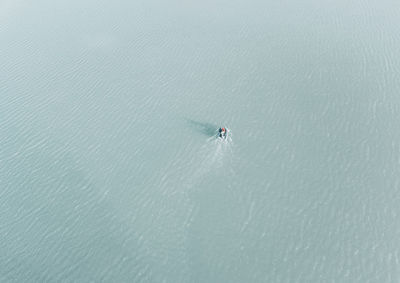 High angle view of person surfing in sea