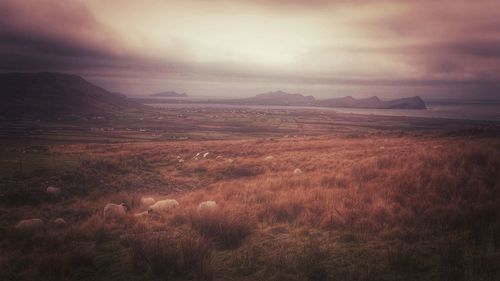 Scenic view of landscape against cloudy sky