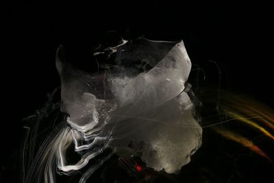 Close-up of ice cream on black background