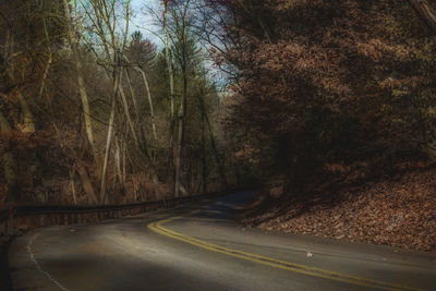 Empty road amidst trees in forest