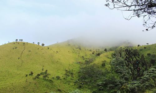 Scenic view of land against sky